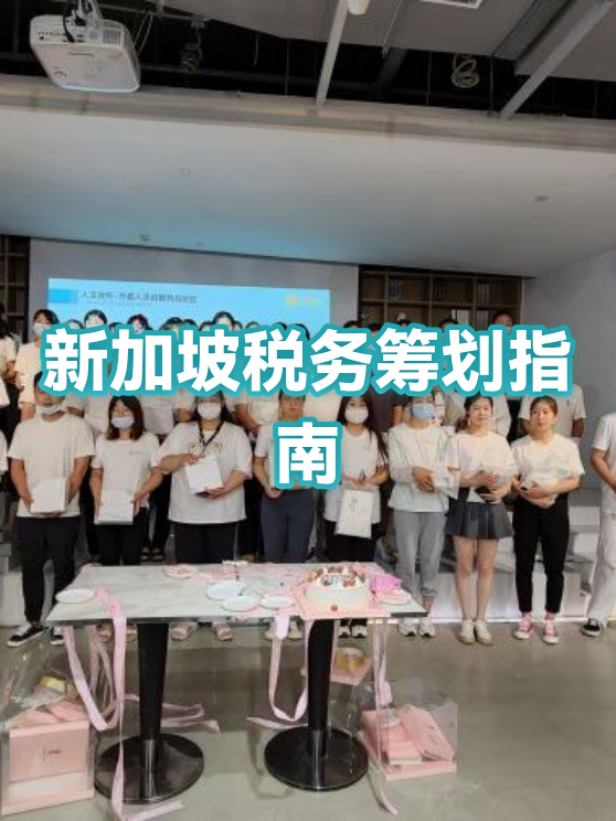 消费咨询税务筹划(消费税税务筹划)和田市
