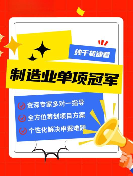 单项冠军申报辅导(单项冠军是什么意思)和田市