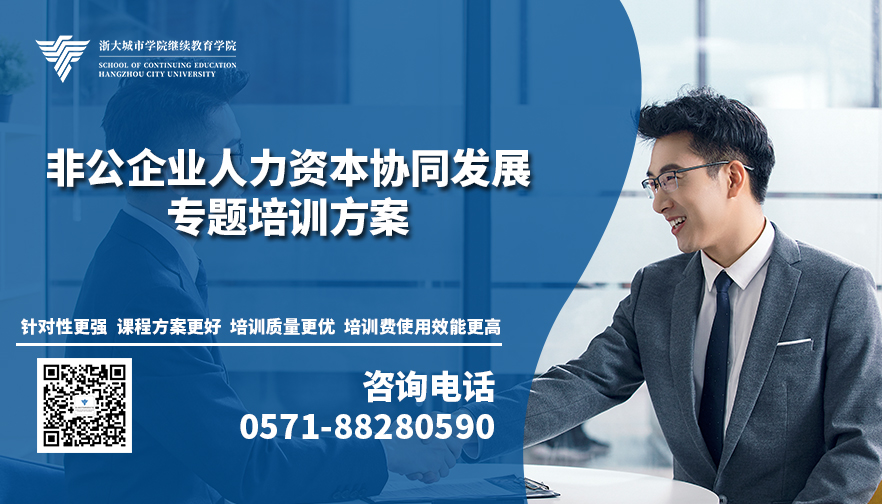 资本服务定制方案(资本服务定制方案设计)和田市