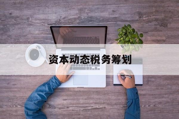 资本动态税务筹划(资本动态税务筹划案例)和田市