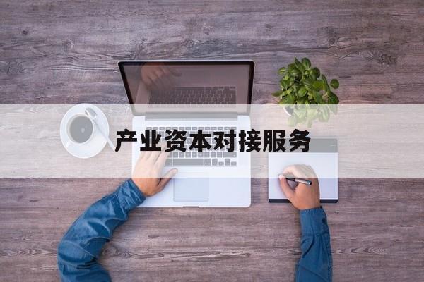 产业资本对接服务(产业资本对接服务包括哪些)和田市